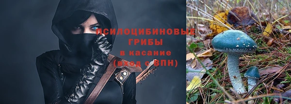 ECSTASY Краснослободск