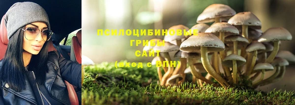 ECSTASY Краснослободск