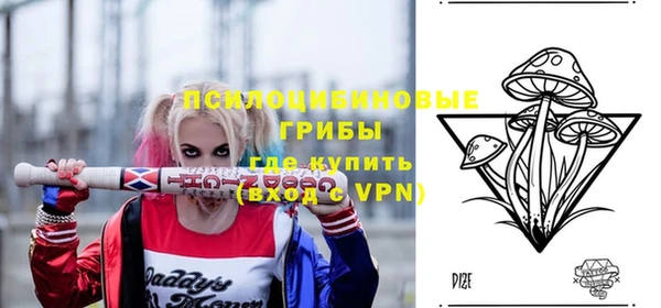 ECSTASY Краснослободск